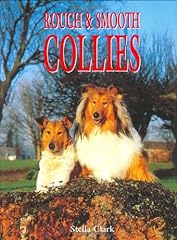 Rough smooth collies for sale  Delivered anywhere in UK
