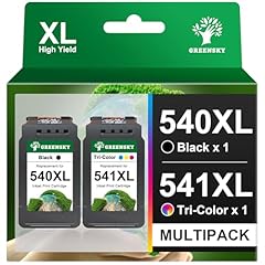 Greensky 540xl 541xl usato  Spedito ovunque in Italia 