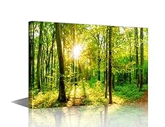 Tishiron green forest for sale  Delivered anywhere in UK