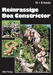 Reinrassige boa constrictor d'occasion  Livré partout en France