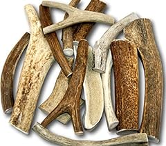 Premium large antler for sale  Delivered anywhere in USA 