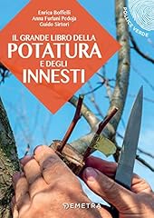Grande libro della usato  Spedito ovunque in Italia 