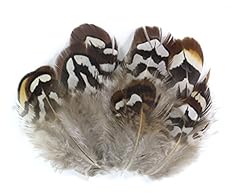 20pcs natural feather for sale  Delivered anywhere in USA 