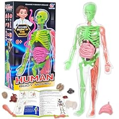 Glow dark human for sale  Delivered anywhere in USA 