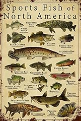 Fish knowledge metal for sale  Delivered anywhere in USA 