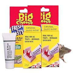 Big cheese fresh for sale  Delivered anywhere in UK