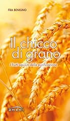 Chicco grano. frutti usato  Spedito ovunque in Italia 