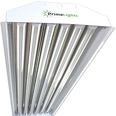 Primelights bulb lamp for sale  Delivered anywhere in USA 
