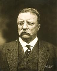 Theodore teddy roosevelt for sale  Delivered anywhere in USA 