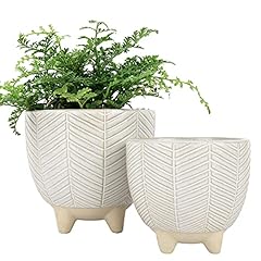 Jolie muse ceramic for sale  Delivered anywhere in USA 