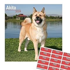 Akita calendar 2024 for sale  Delivered anywhere in Ireland