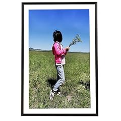 11x17 poster frame for sale  Delivered anywhere in USA 