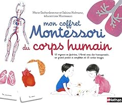Coffret montessori corps d'occasion  Livré partout en France