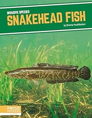 Snakehead fish for sale  Delivered anywhere in UK