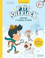 Mystères boules neige d'occasion  Livré partout en Belgiqu