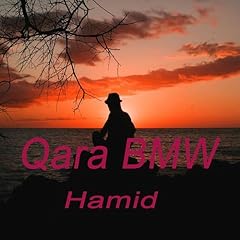 Qara bmw gebraucht kaufen  Wird an jeden Ort in Deutschland