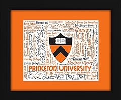 Princeton university 16x20 for sale  Delivered anywhere in USA 