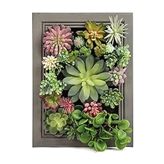 Nattol artificial succulent for sale  Delivered anywhere in USA 