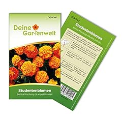 Studentenblumen bonita mischun gebraucht kaufen  Wird an jeden Ort in Deutschland