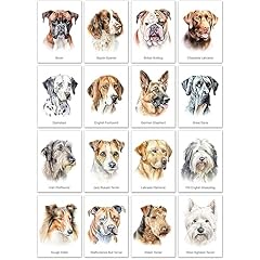 Dog variety postcard for sale  Delivered anywhere in UK