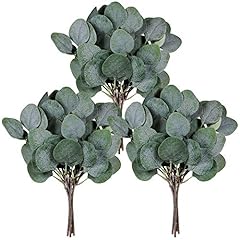 Pcs eucalyptus leaves for sale  Delivered anywhere in USA 