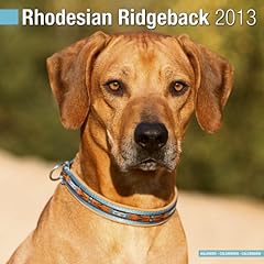 Rhodesian ridgeback 2013 for sale  Delivered anywhere in UK