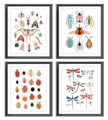 Lnlagbo colorful insect for sale  Delivered anywhere in USA 