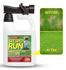 See spot run for sale  Delivered anywhere in USA 