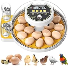 Upgrade egg incubator for sale  Delivered anywhere in UK