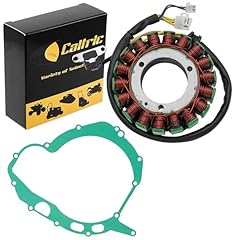 Caltric stator gasket for sale  Delivered anywhere in USA 