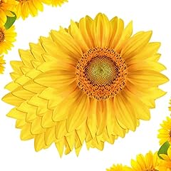 Teling packs sunflower for sale  Delivered anywhere in USA 