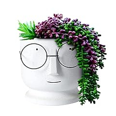 Tenloy face planters for sale  Delivered anywhere in UK