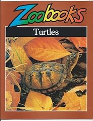 Turtles for sale  Delivered anywhere in USA 
