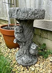 Barn owl bird for sale  Delivered anywhere in UK