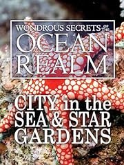 Wondrous secrets ocean for sale  Delivered anywhere in USA 