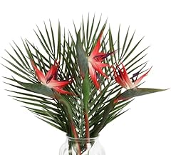 Fqueelvys bird paradise for sale  Delivered anywhere in USA 