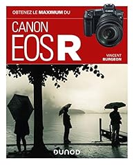 Obtenez maximum canon d'occasion  Livré partout en France