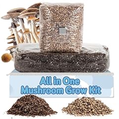 Surfin spores one for sale  Delivered anywhere in USA 