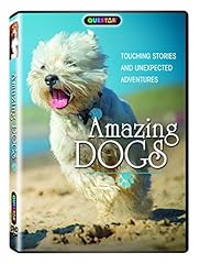 Amazing dogs dvd for sale  Delivered anywhere in USA 
