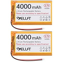 Stück 4000mah lithium gebraucht kaufen  Wird an jeden Ort in Deutschland