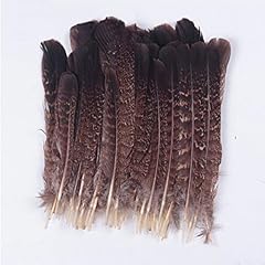Pcs eagle feather for sale  Delivered anywhere in USA 
