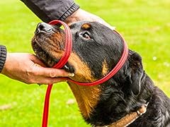 Gencon headcollar lead for sale  Delivered anywhere in UK