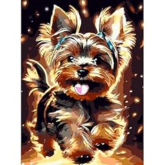 Airdea yorkshire terrier usato  Spedito ovunque in Italia 