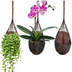 Hanging orchid planter for sale  Delivered anywhere in USA 