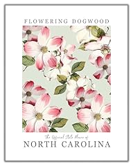 North carolina state for sale  Delivered anywhere in USA 