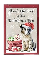 Border collie pup for sale  Delivered anywhere in UK