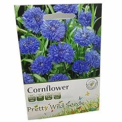 Cornflower annual wild for sale  Delivered anywhere in UK