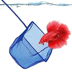 Sungrow betta fish for sale  Delivered anywhere in USA 