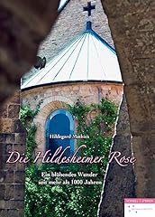 Hildesheimer rose blühendes gebraucht kaufen  Wird an jeden Ort in Deutschland