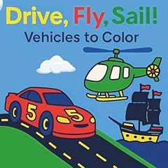 Drive fly sail usato  Spedito ovunque in Italia 